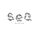 sea-ny.com