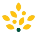 Morrisons.com
